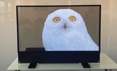 Display Ultra Thin OLED Transparente personalizado para publicidade interna