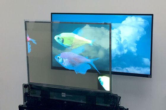 Ecrã OLED transparente de alto brilho, de cores claras